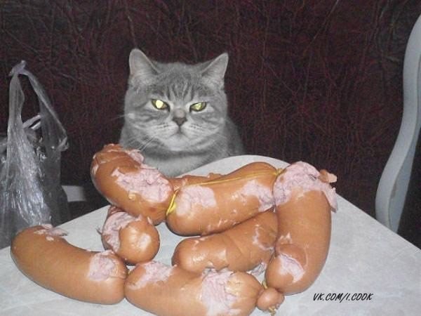 mvJUC-iz4uU.jpg