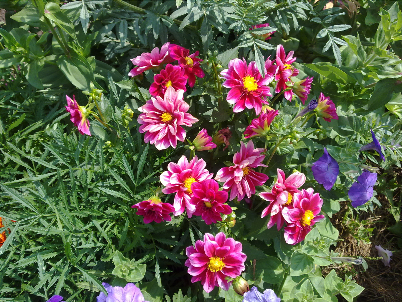 050820121310.jpg