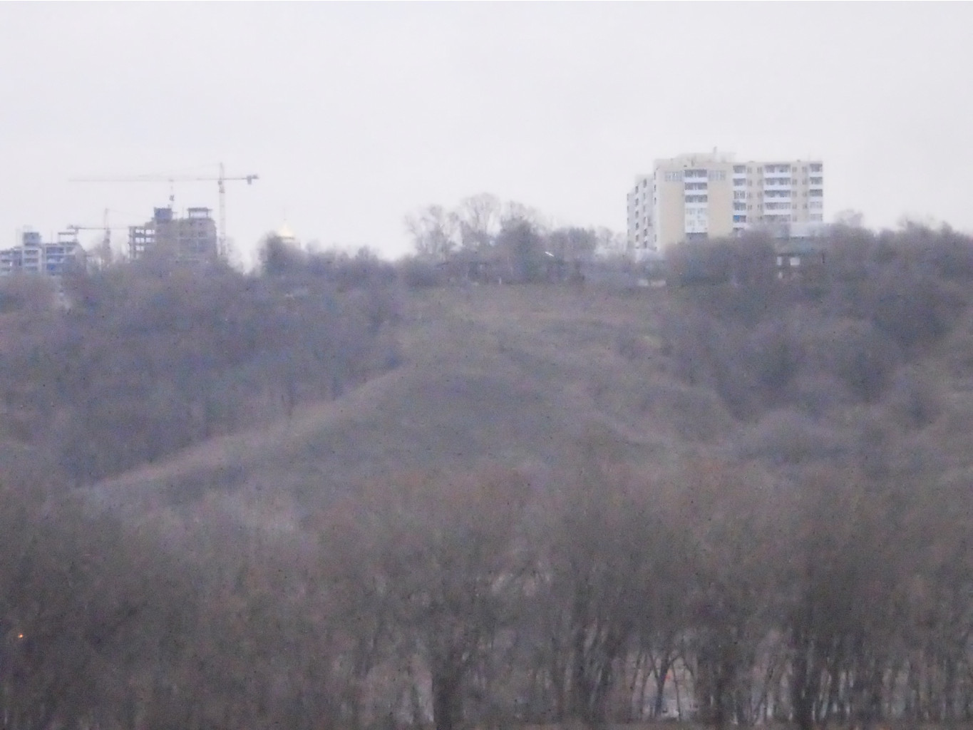 PB160661.JPG