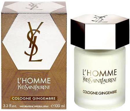 Yves Saint Laurent L'Homme Cologne Gingembre.jpeg