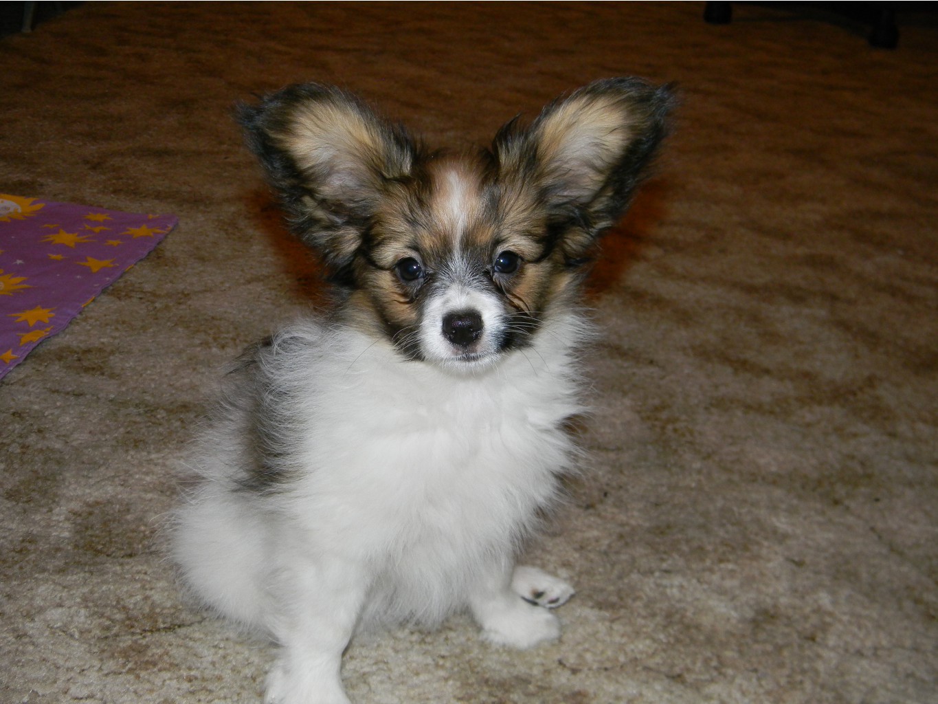 dscn2914.JPG