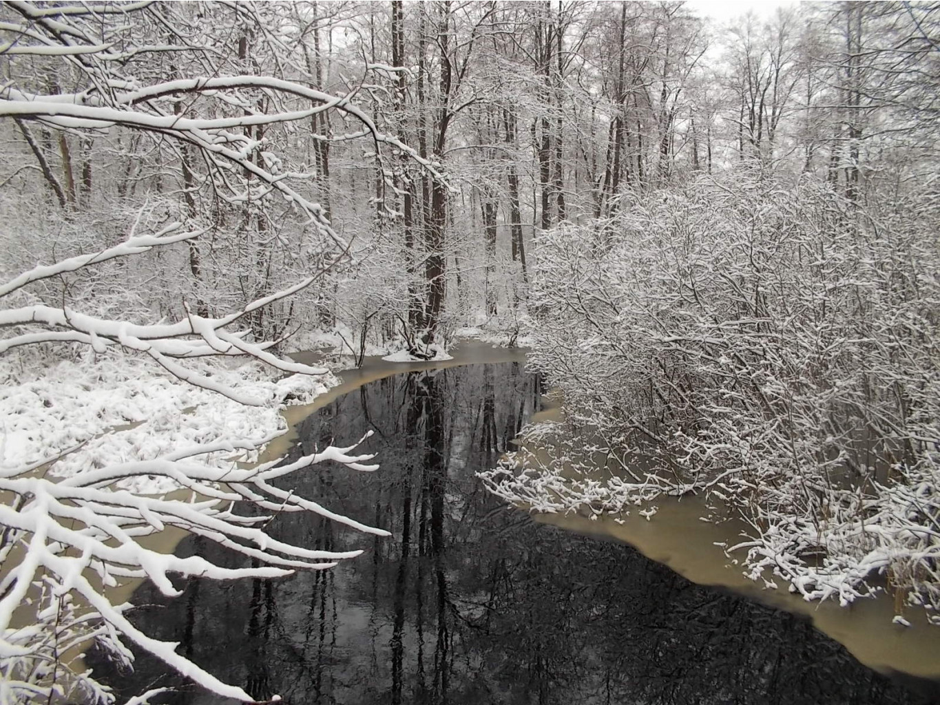 DSCN4271.JPG