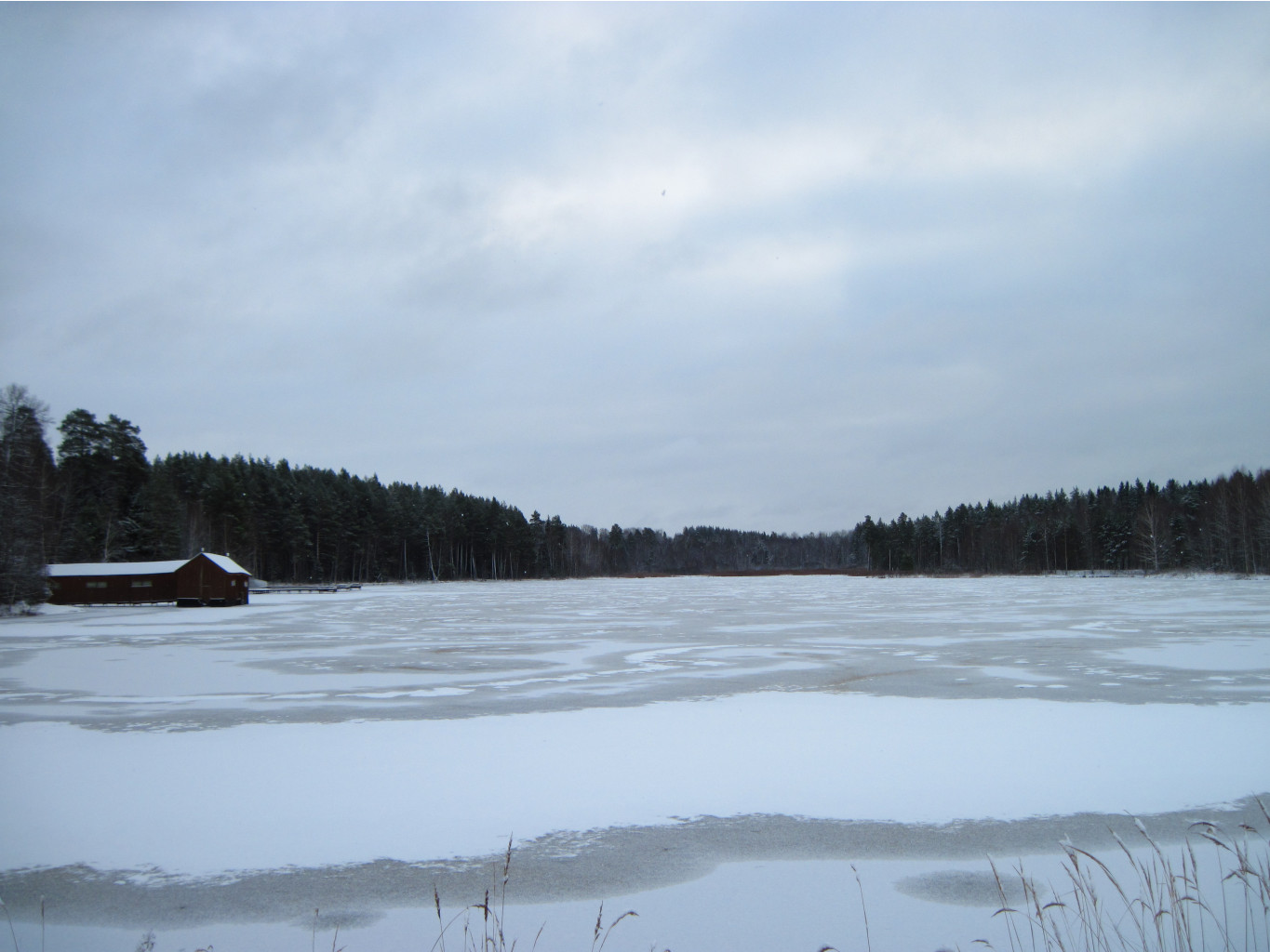 IMG_8015.JPG