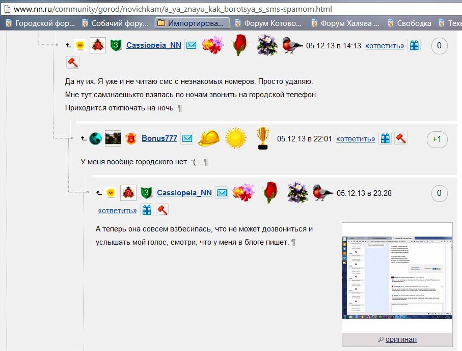 шиза каськи.jpg