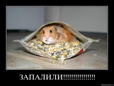 16.05.2010 18:08:26