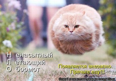 16.05.2010 18:11:14
