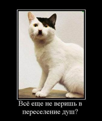 16.05.2010 18:12:53