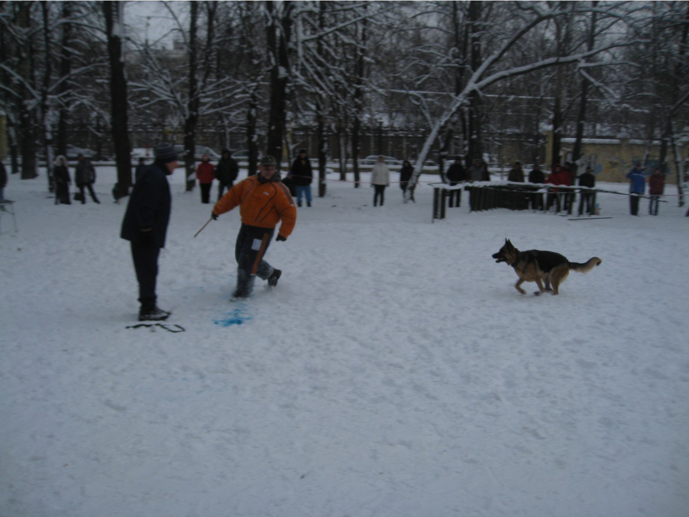 IMG_8961.JPG