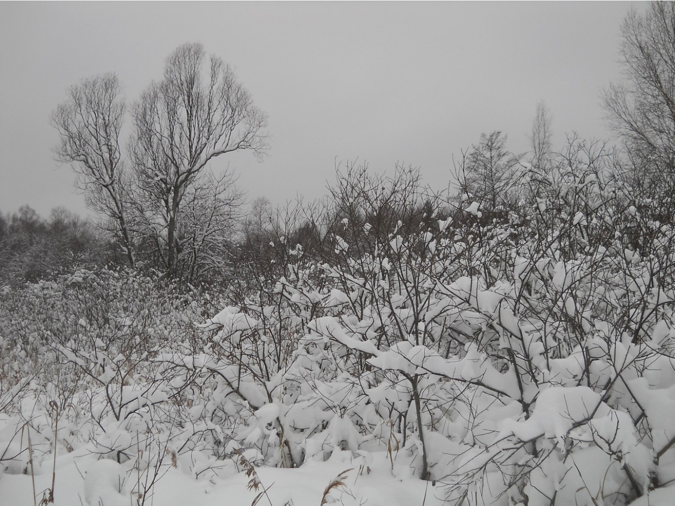 DSCN2313.JPG