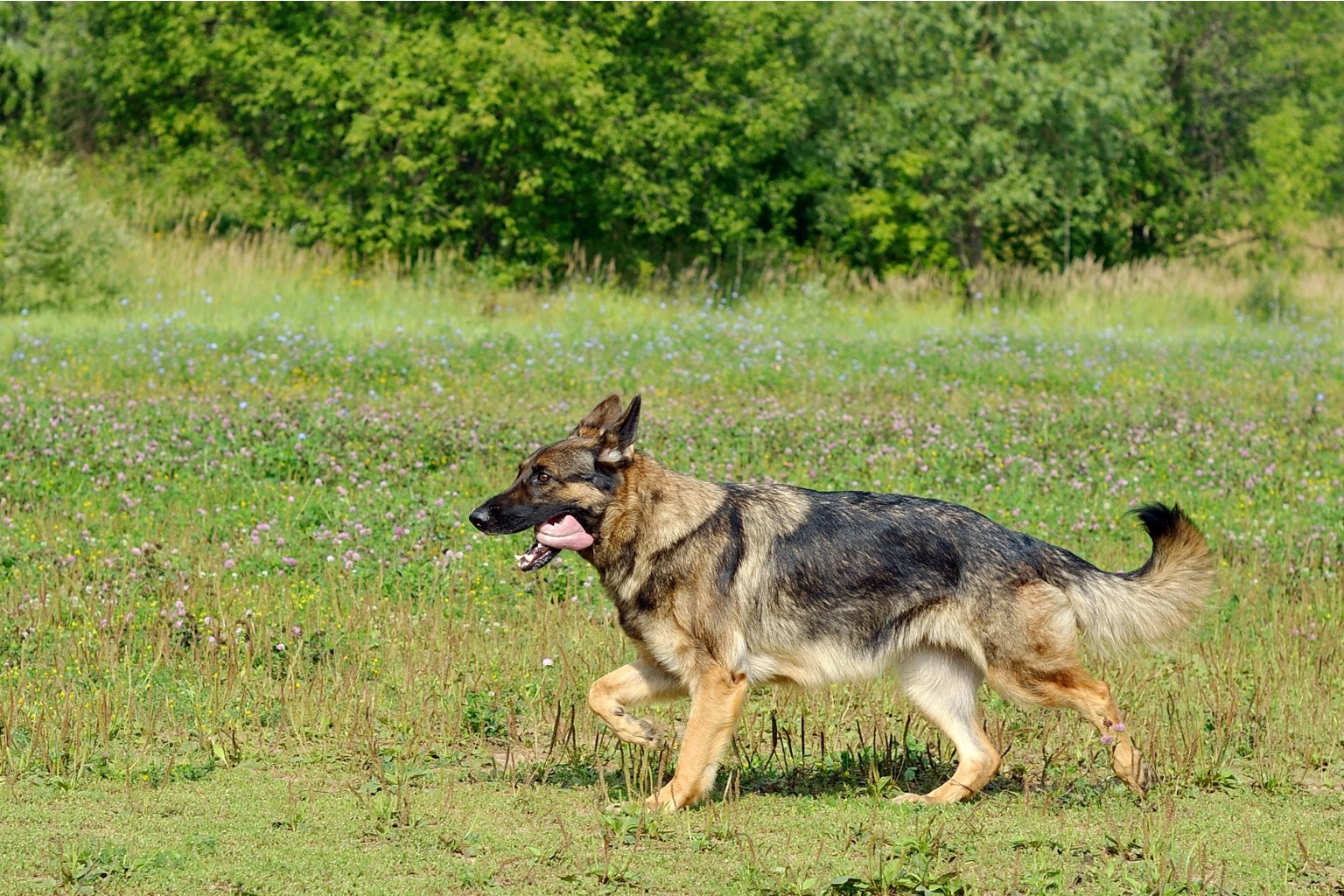 DSC_9812.jpg