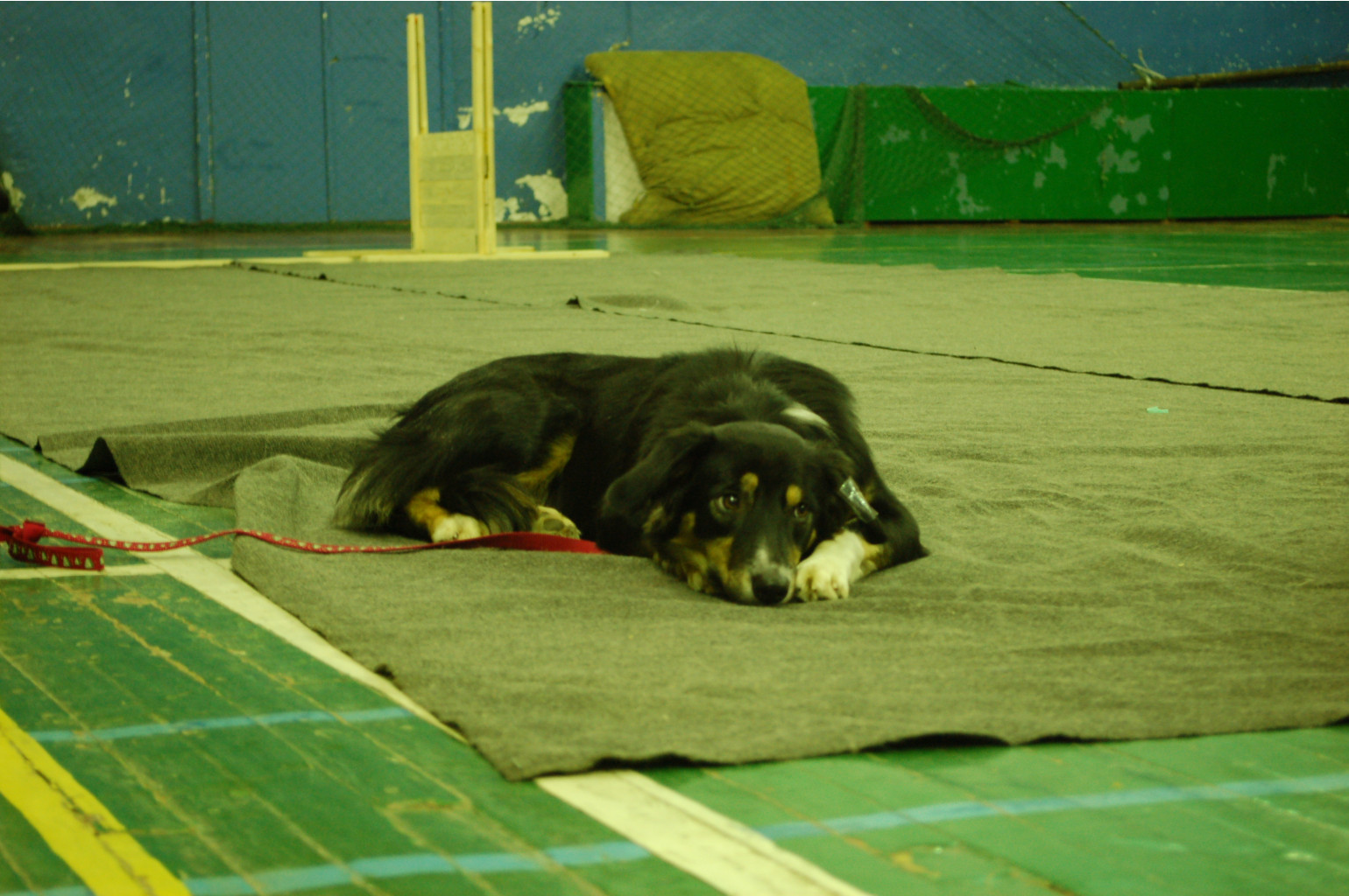 DSC_4439.JPG