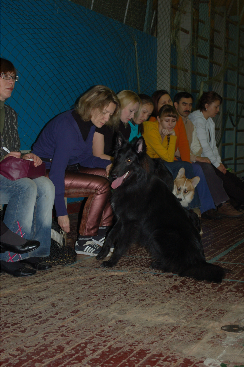 DSC_4446.JPG