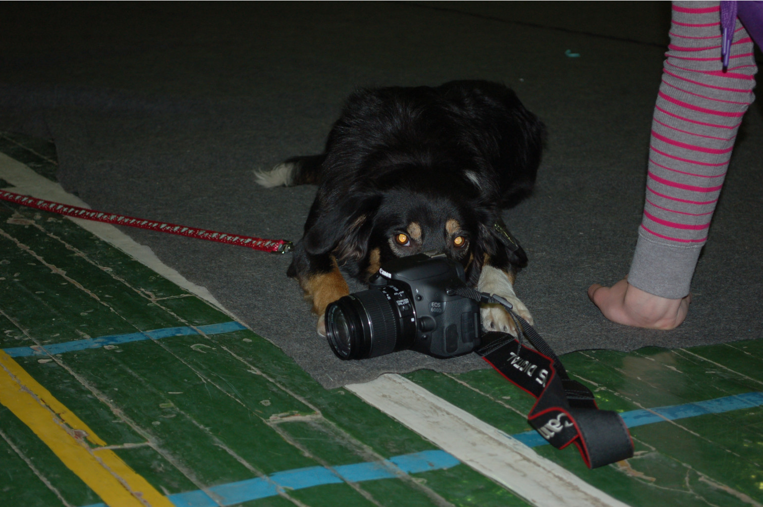 DSC_4449.JPG