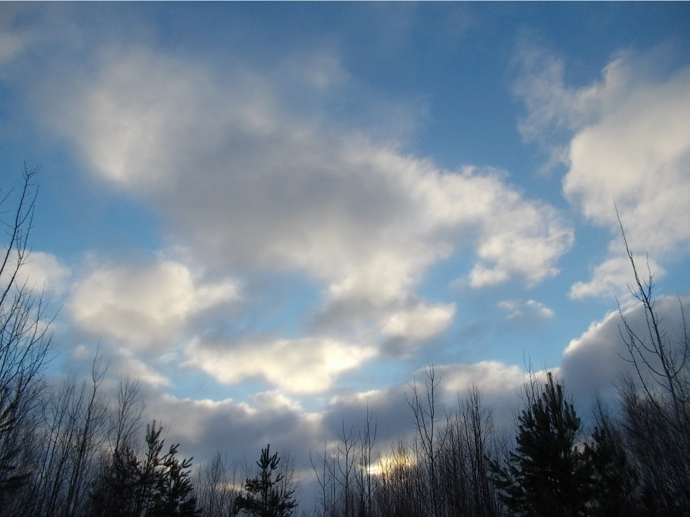 DSCN4383.JPG
