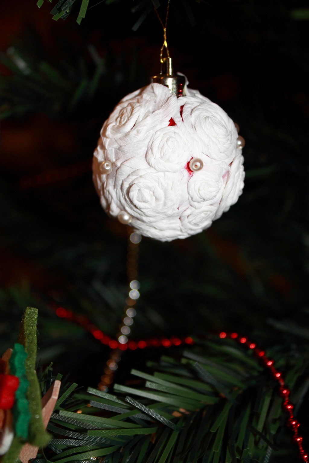 IMG_1537.JPG