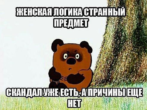 8 женская логика.jpeg