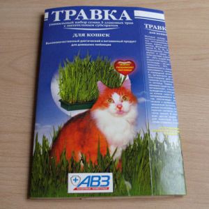 19.12.2013 10:14:31