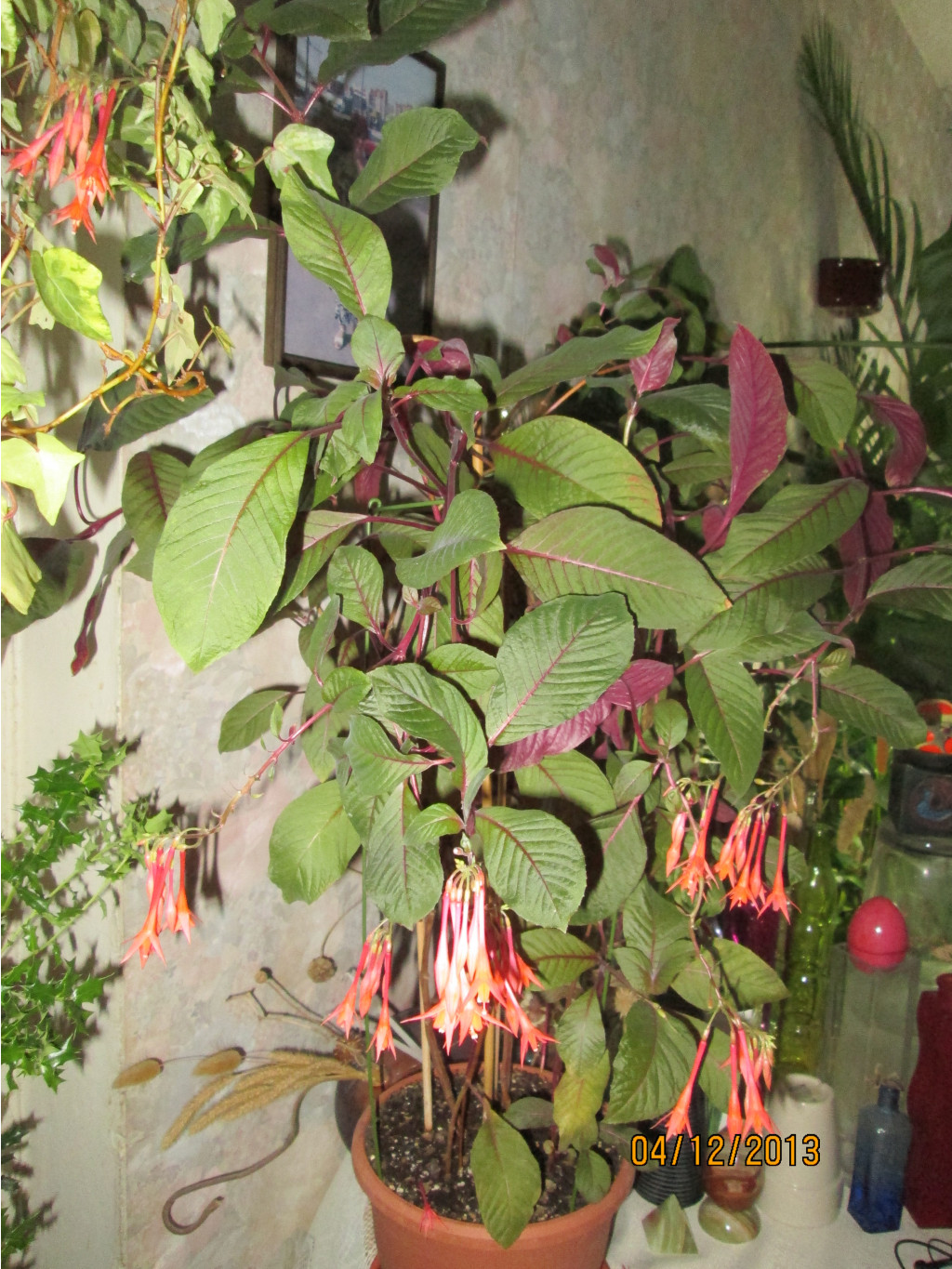 IMG_1905.JPG
