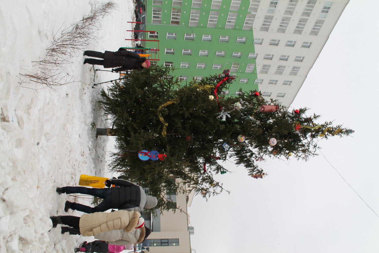 IMG_4421.JPG