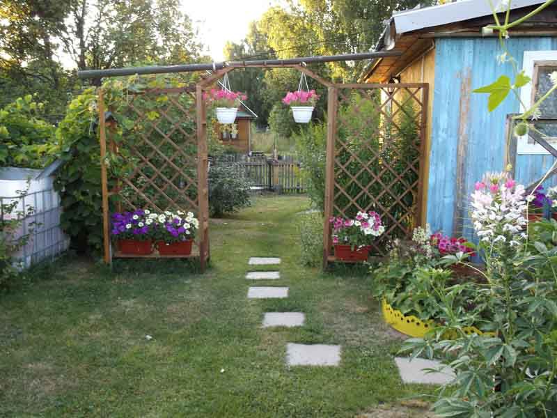 DSCF7231.jpg