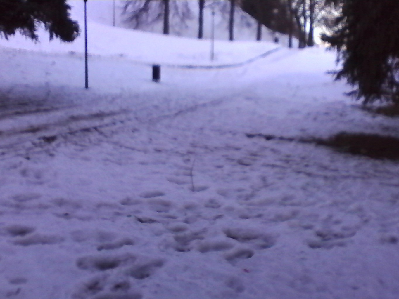 IMG_20000502_083531.jpg