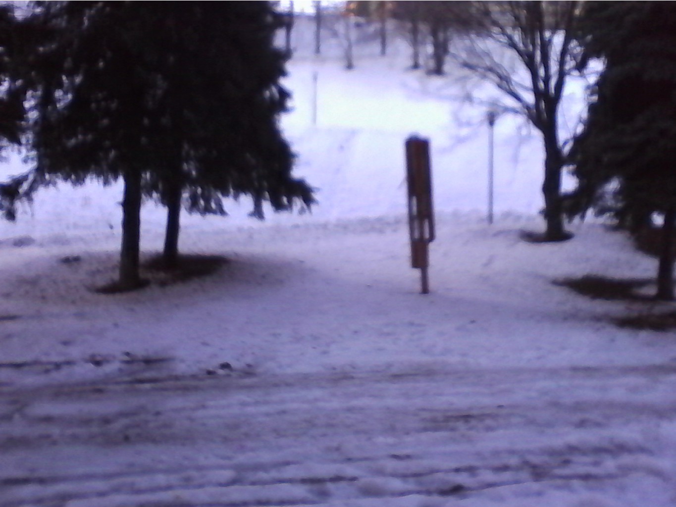 IMG_20000502_083547.jpg