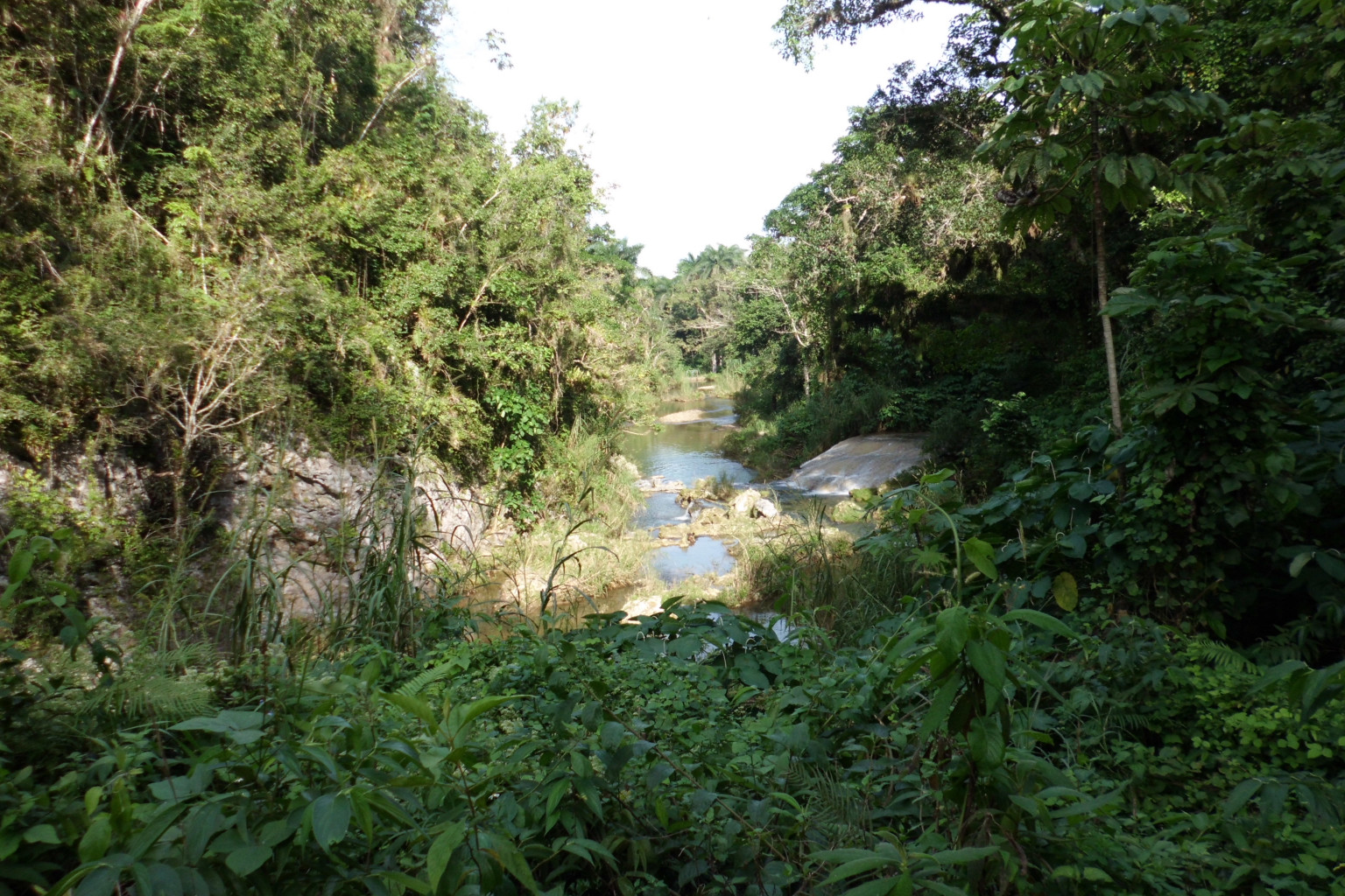CIMG0487.JPG