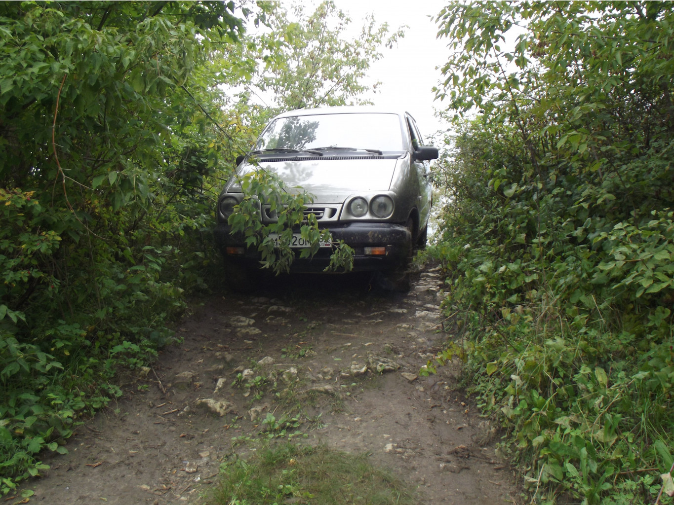 DSCF1385.JPG