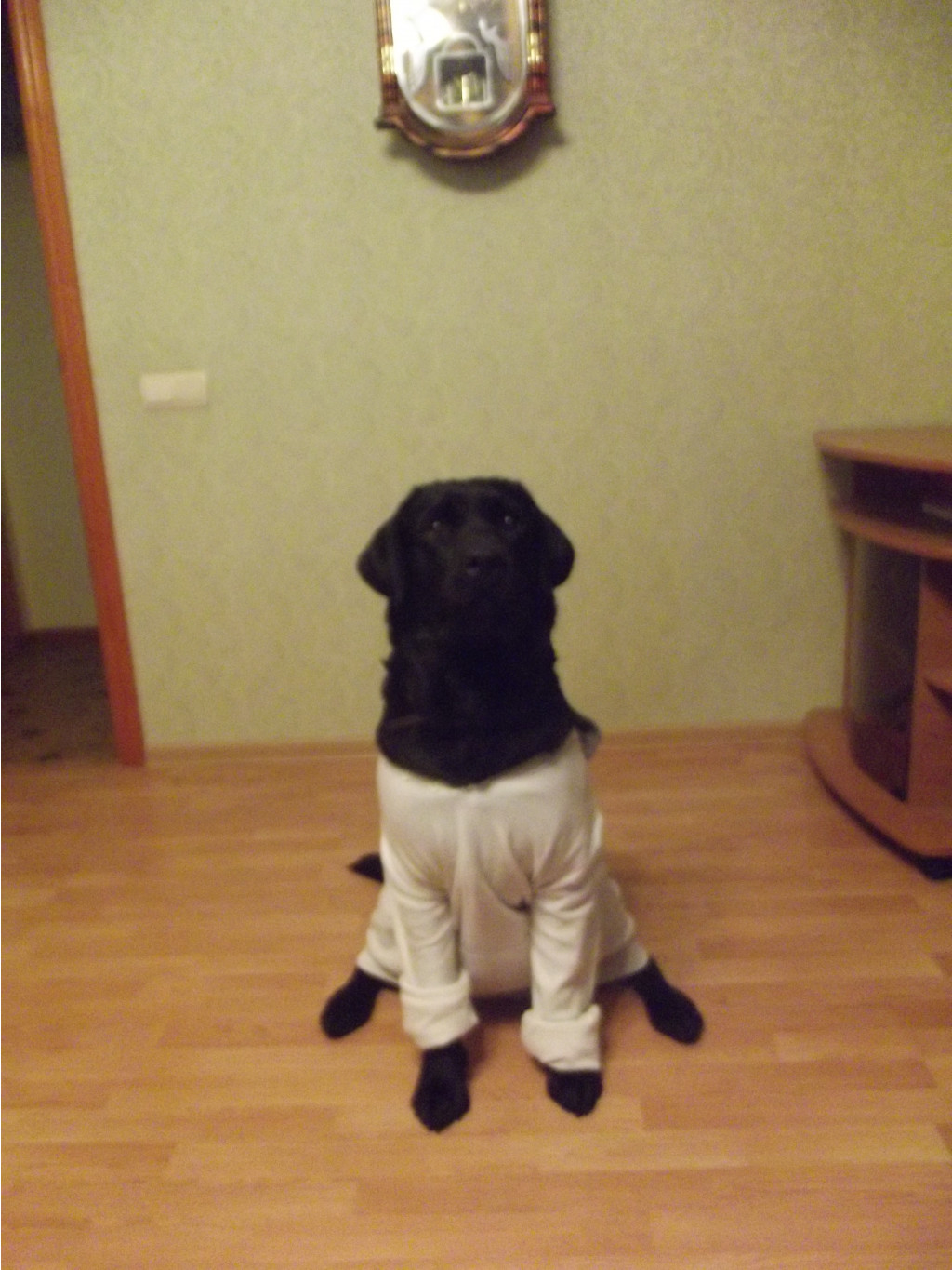 DSCF1393.JPG