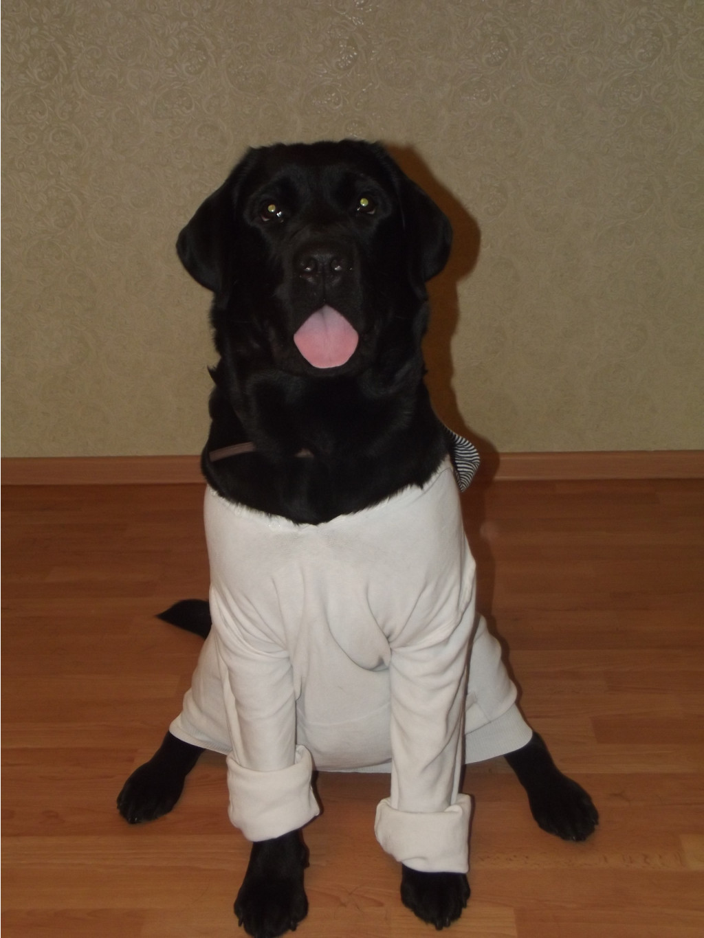 DSCF1394.JPG