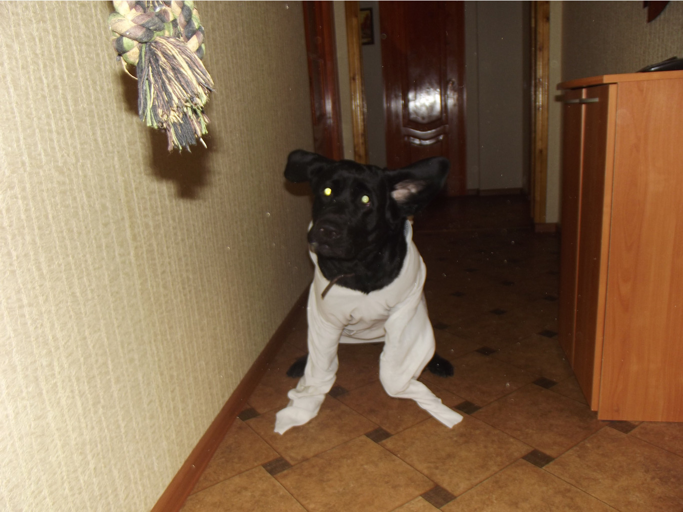 DSCF1402.JPG