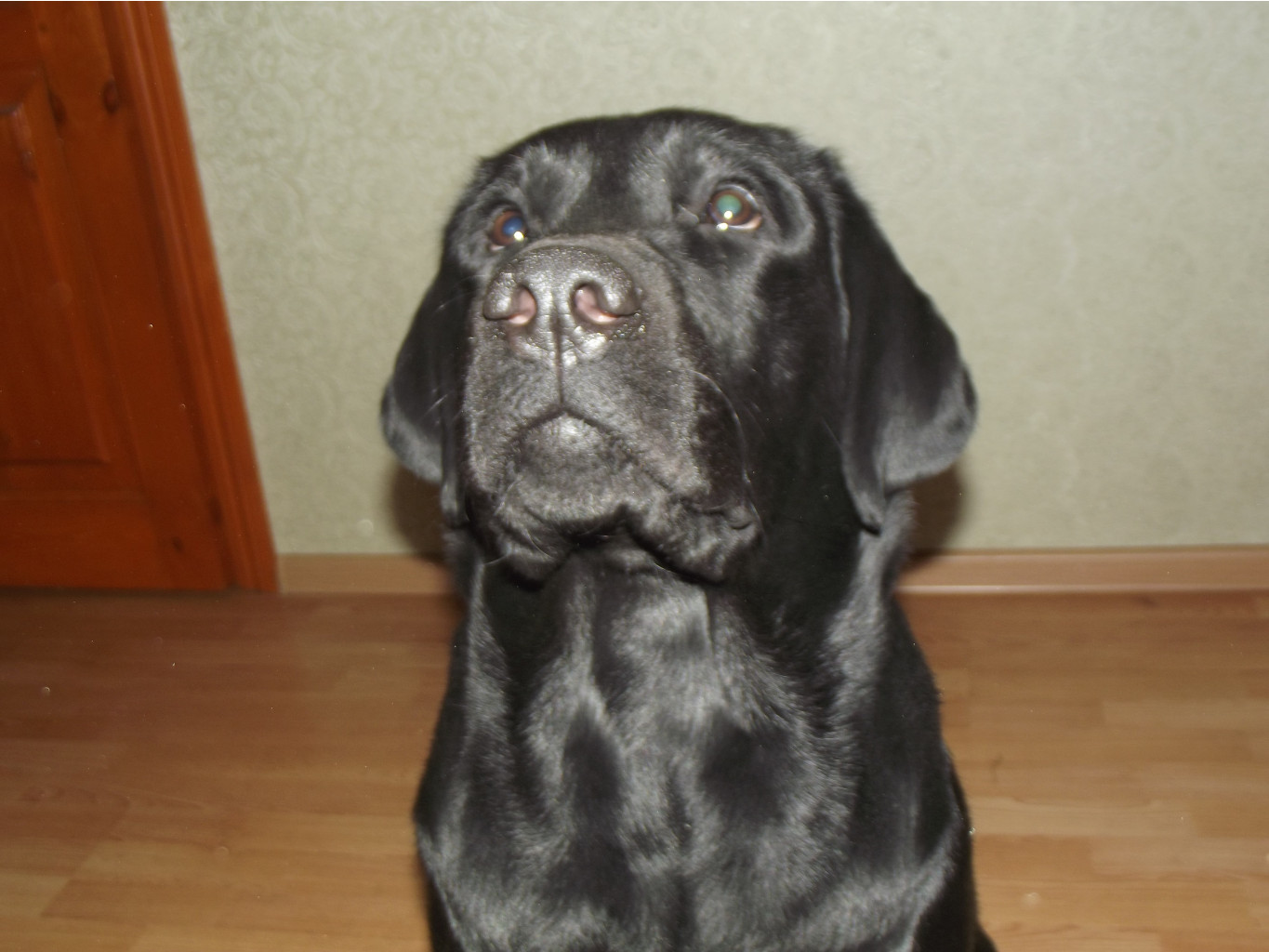 DSCF1417.JPG