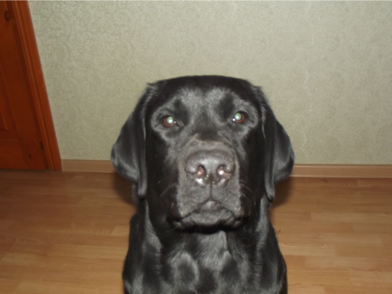DSCF1418.JPG