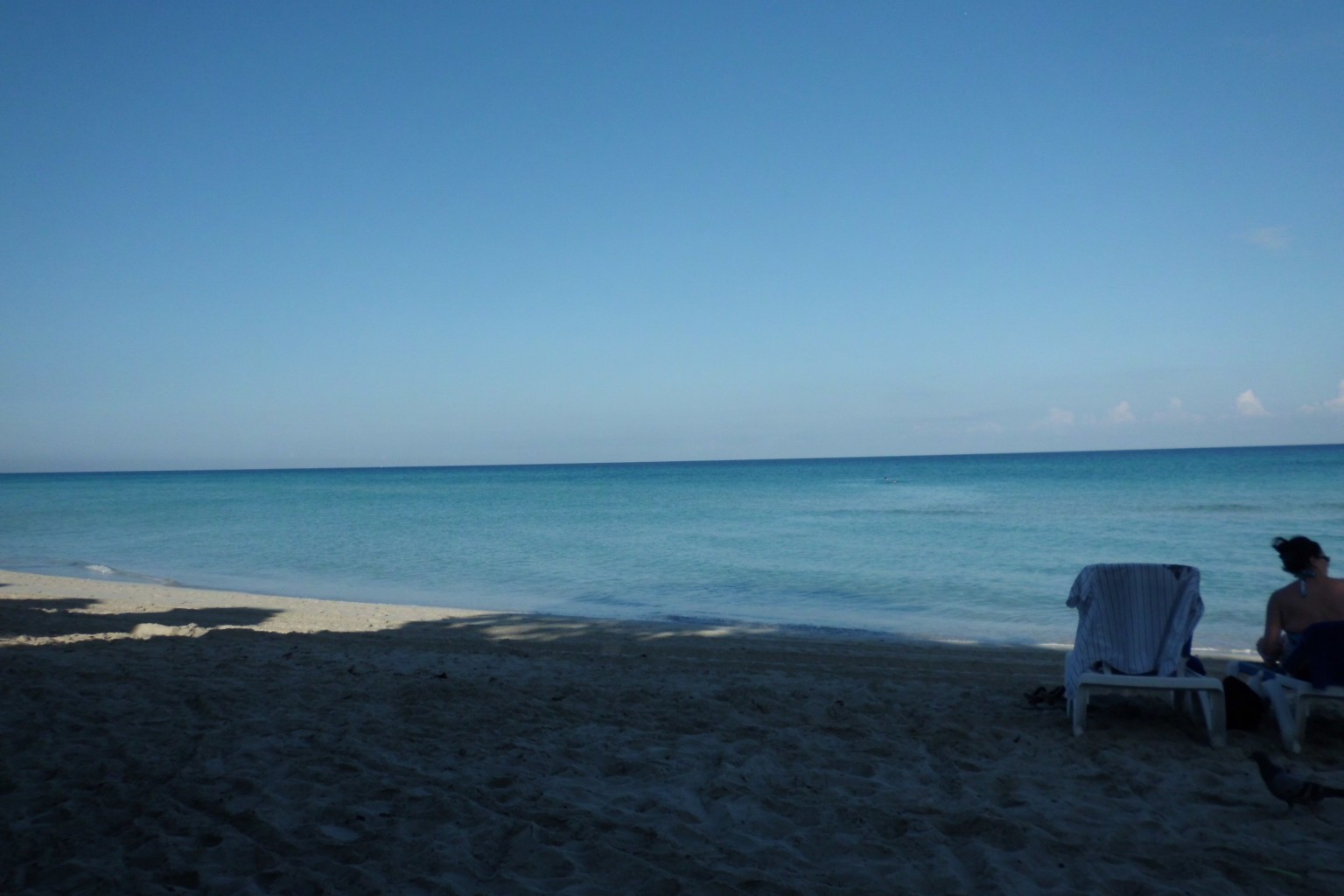 CIMG0610.JPG