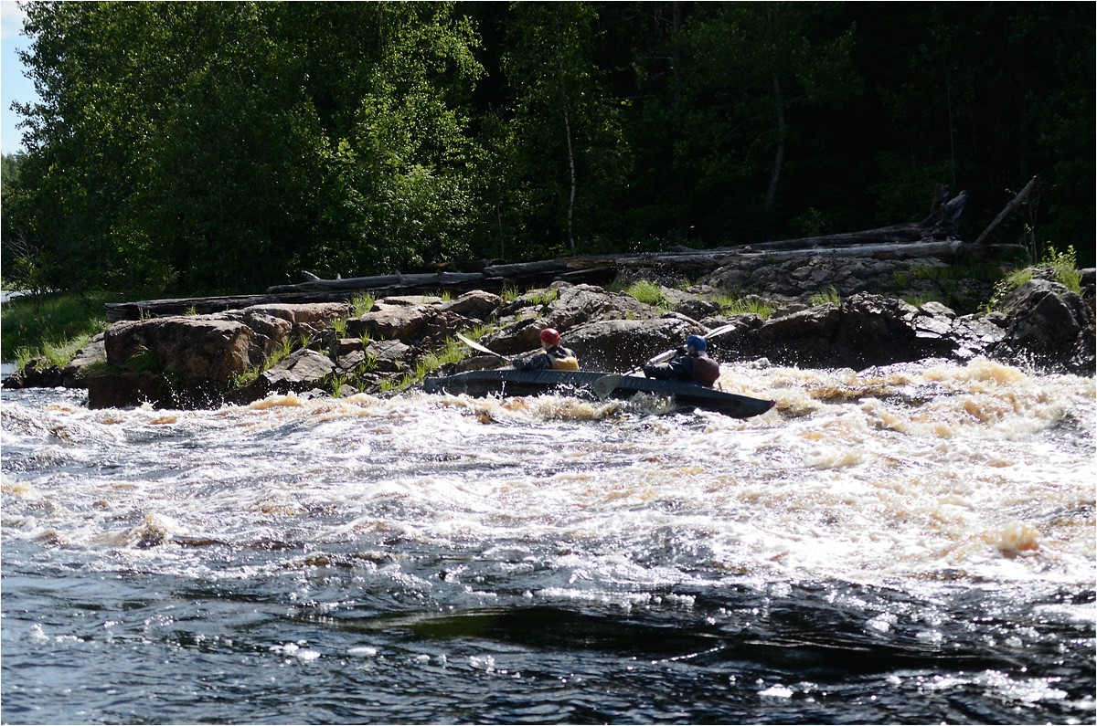 DSC_1513.jpg
