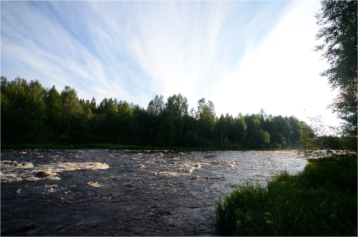 DSC_1639.jpg