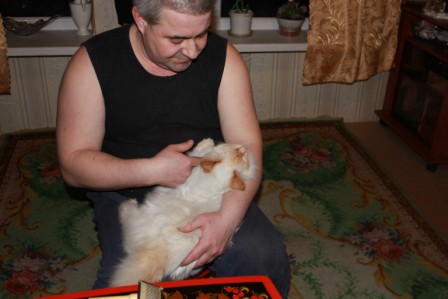IMG_2978.JPG