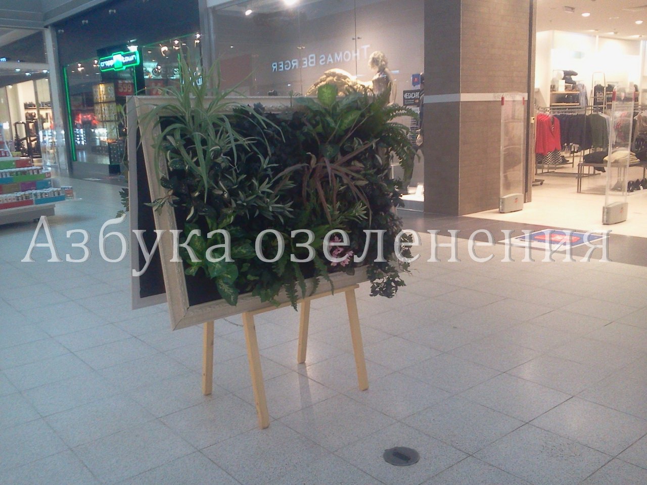 мольб.jpg