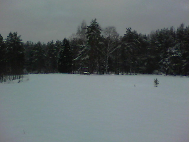 100_0123.JPG
