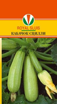 КАБАЧОК СЦИЛЛИ_34.60+%