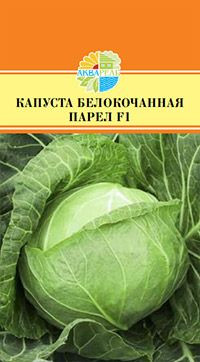 КАПУСТА БЕЛОКОЧАННАЯ ПАРЕЛ F1_27.40+%