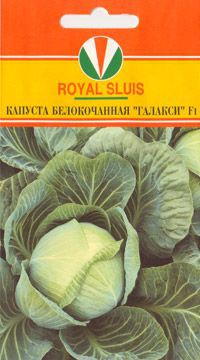 КАПУСТА БЕЛОКОЧАННАЯ ГАЛАКСИ F1_28.40+%