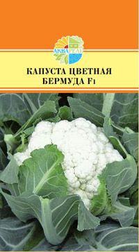КАПУСТА ЦВЕТНАЯ БЕРМУДА F1_36.60+%