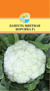 КАПУСТА ЦВЕТНАЯ КОРСИКА F1_31.00+%