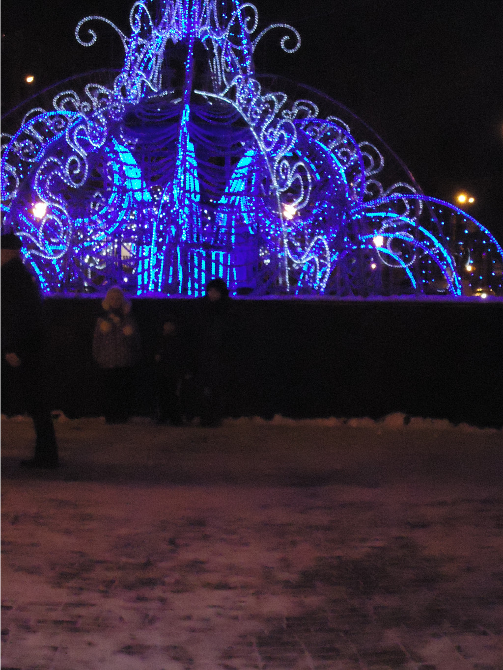 DSC03541.JPG