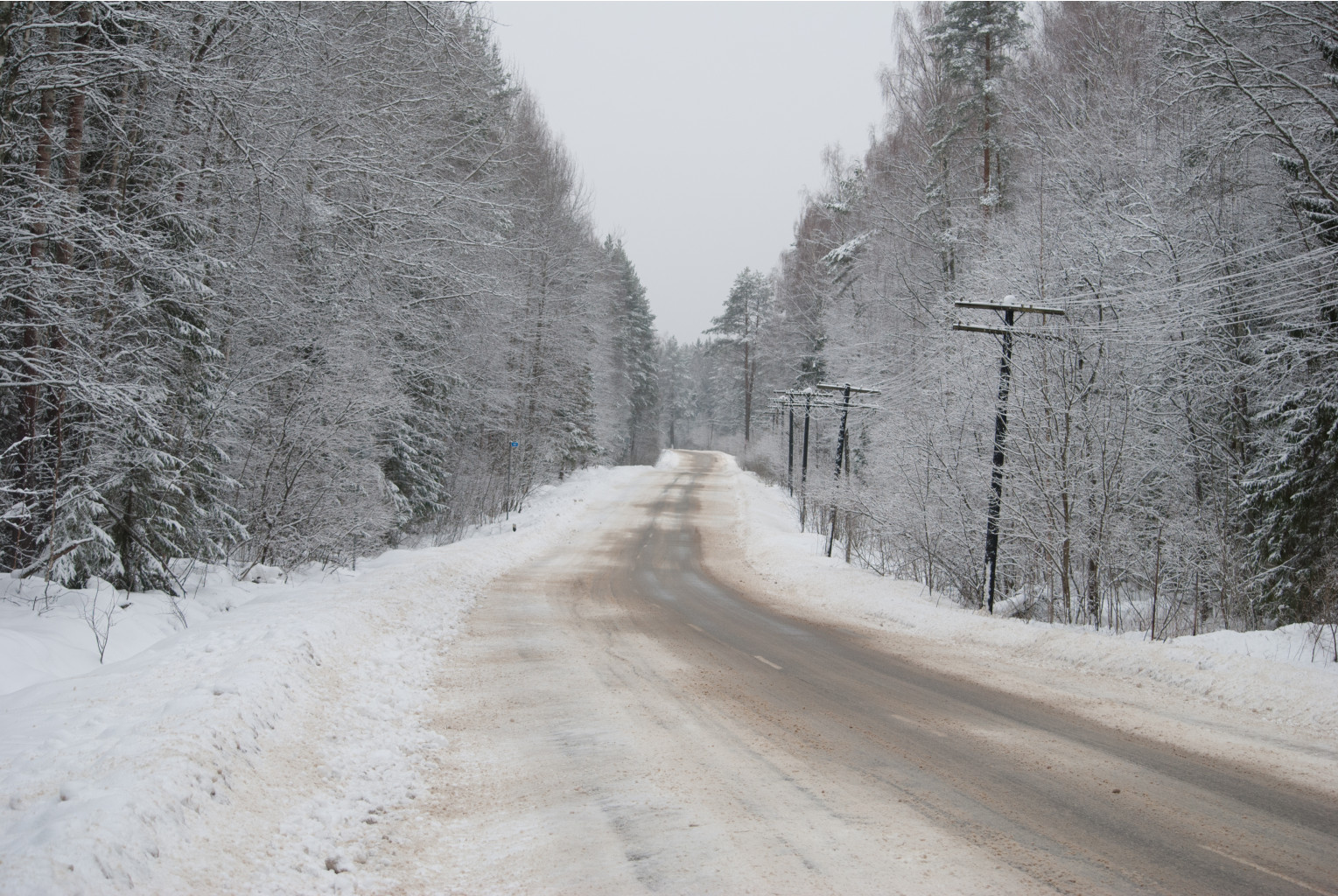 DSC_0049.jpg