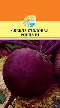 СВЕКЛА СТОЛОВАЯ РОНДА F1_12.00+%
