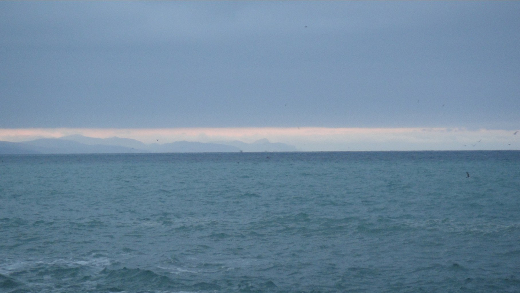 DSC07111.JPG