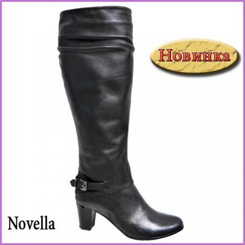 Novella (731783) :  . : ;  35-41 (). : 3253+%.