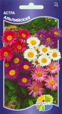 АСТРА АЛЬПИЙСКАЯ_12.90+%